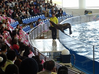 DSC07157.jpg