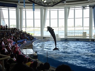 DSC07168.jpg