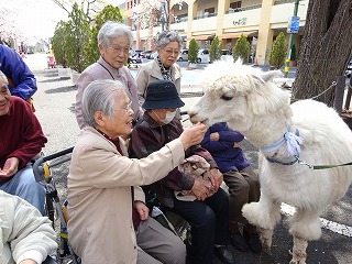 DSC08103.jpg