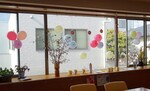 DSC02240.jpg