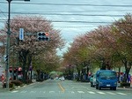 DSC03292.jpg