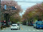 DSC03293.jpg
