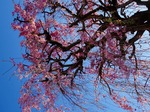 DSC03307.jpg